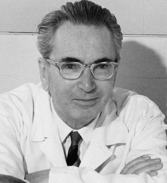 Viktor Frankl y el sentido del sufrimiento